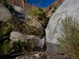 A Anza Borrego Desert 008